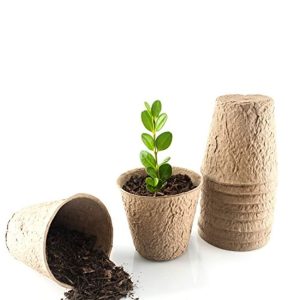 "Eco Paperpot Duo"